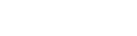 Stan na dan